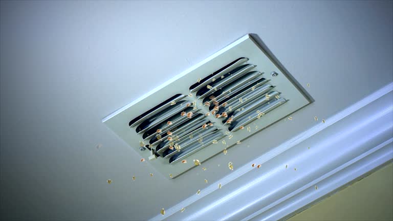 Best Air Duct Cleaning Near Me  in Graniteville, SC