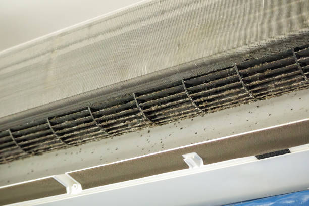 Best HVAC Maintenance and Cleaning  in Graniteville, SC